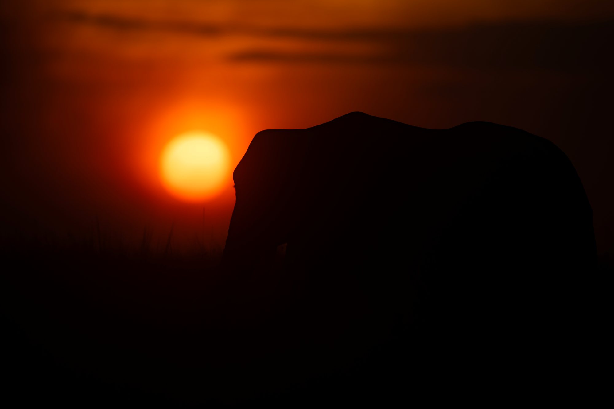Maasai Mara & Serengeti