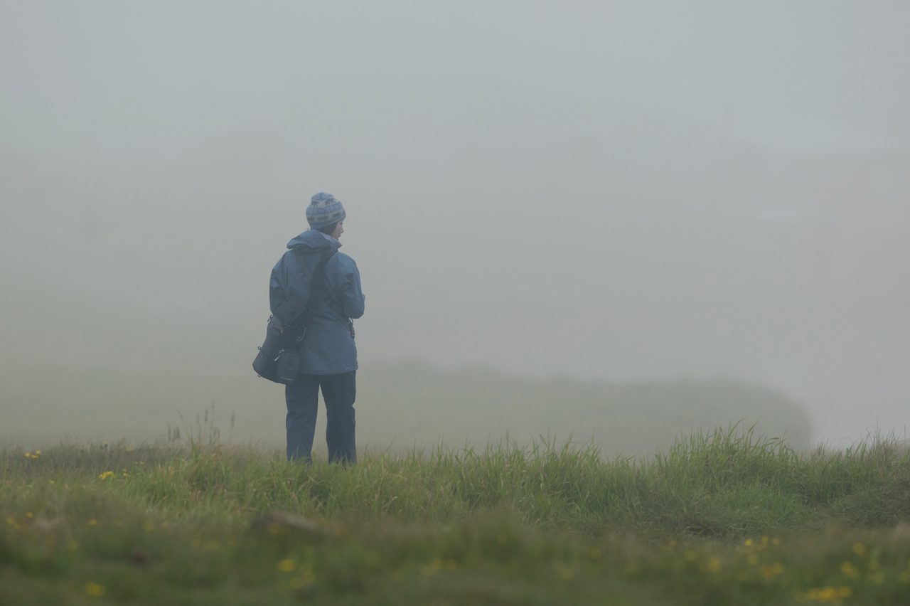 When the weather is the subject