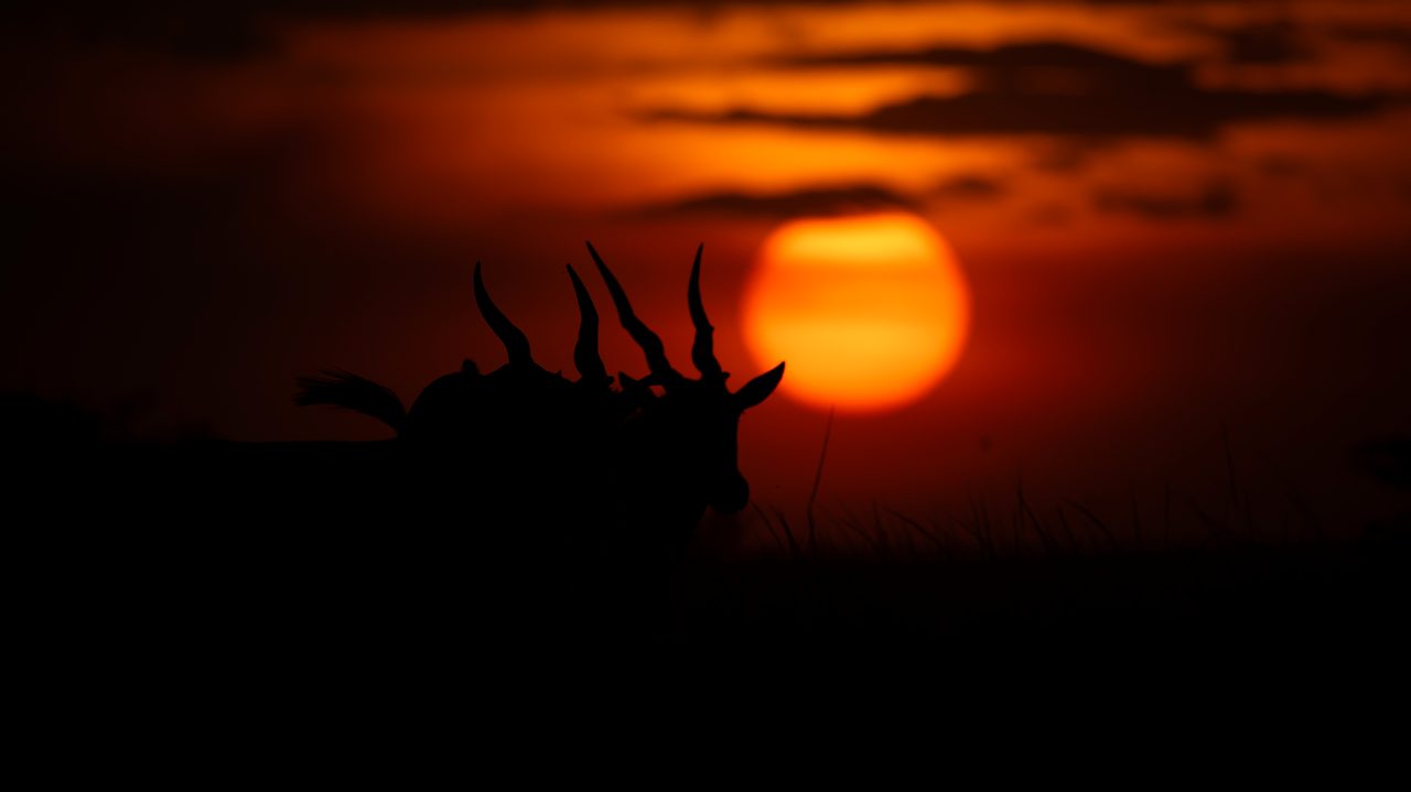 Last light