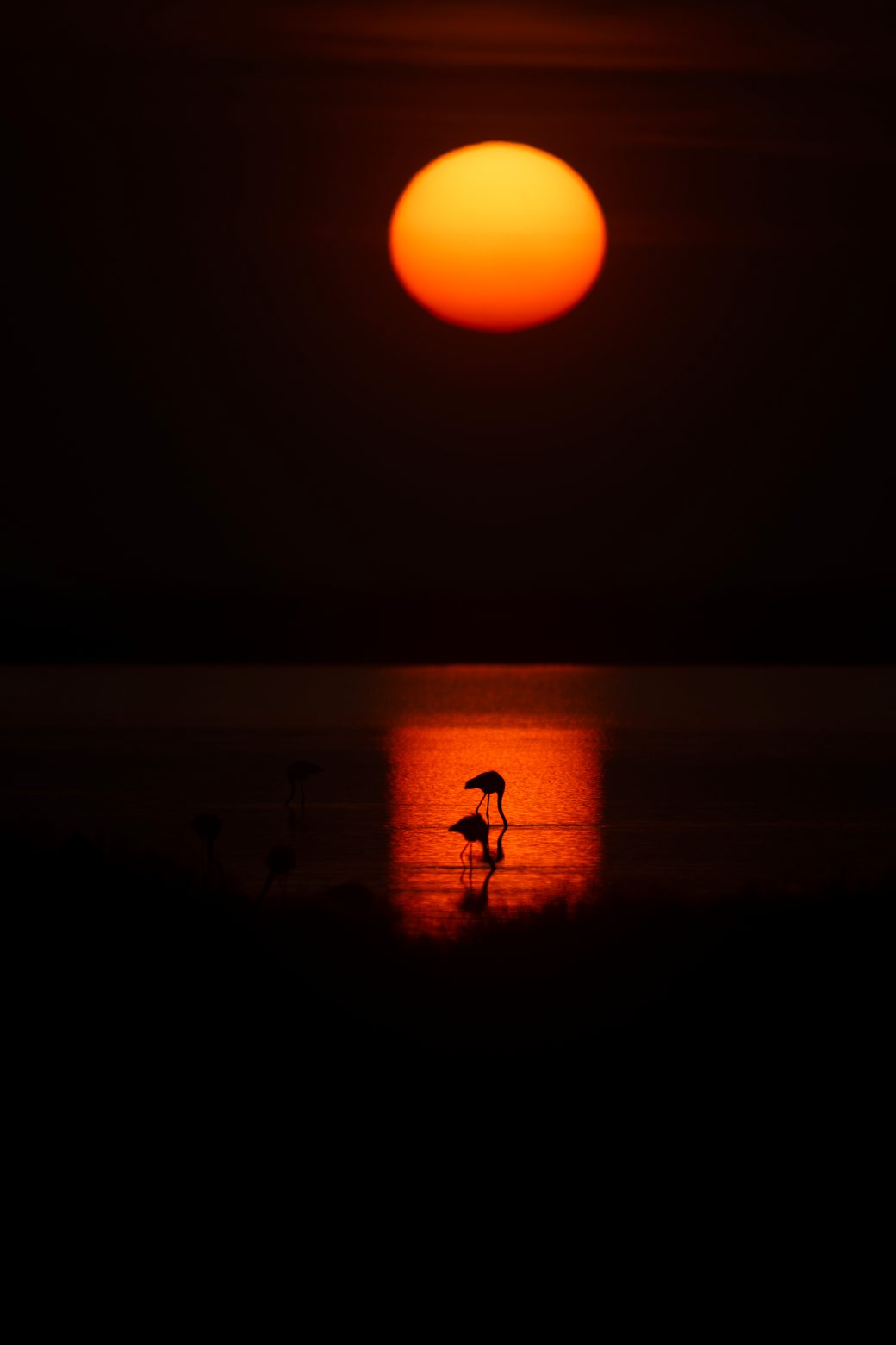 Fire in a low sun