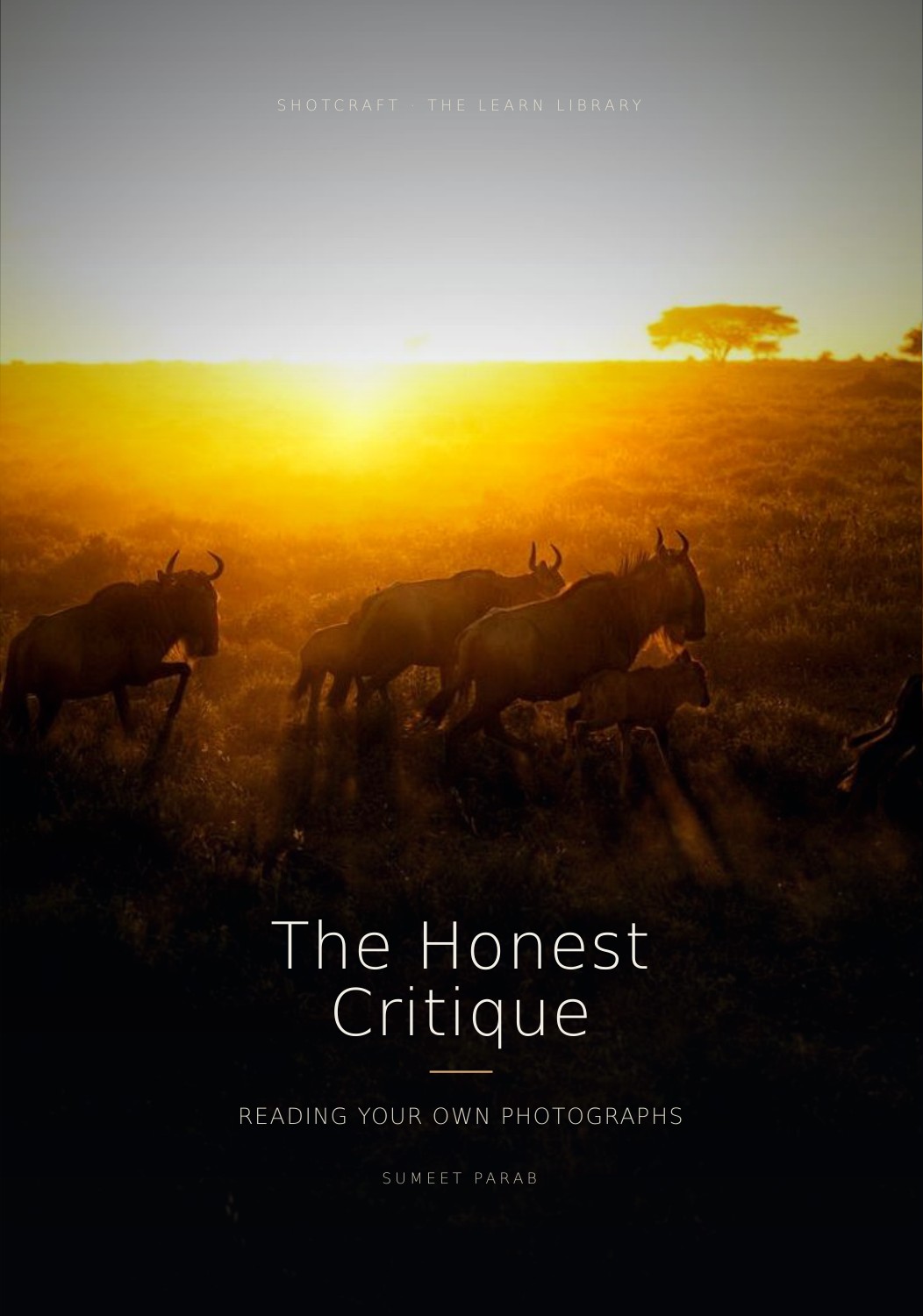 The Honest Critique — cover
